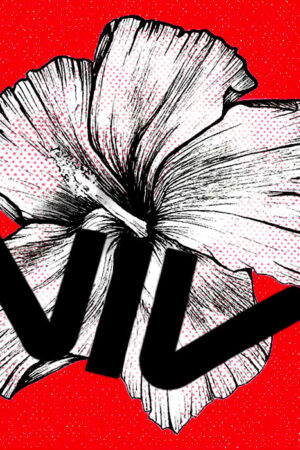 illo_flor-de-maga-line2